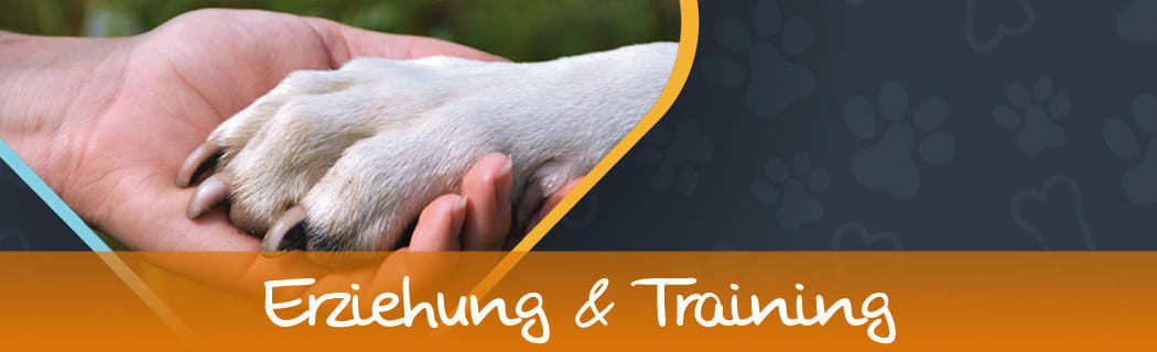 Erziehung & Training für Hunde