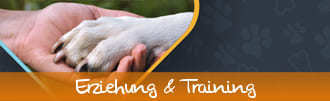 Erziehung & Training für Hunde