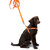 FARM-LAND® Hundegeschirr SAFETY DOG | Signalorange (reflektierend) Ⓐ