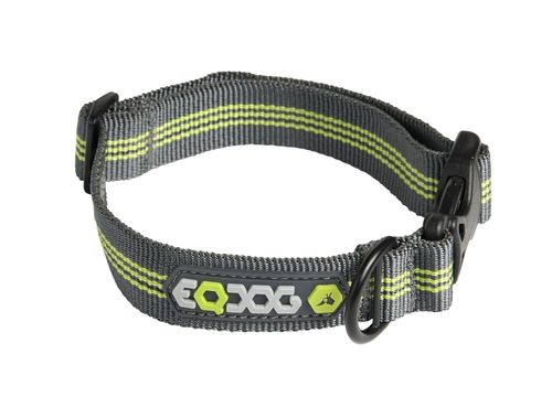 EQDOG Hundehalsband CLASSIC COLLAR | Grau/Grün