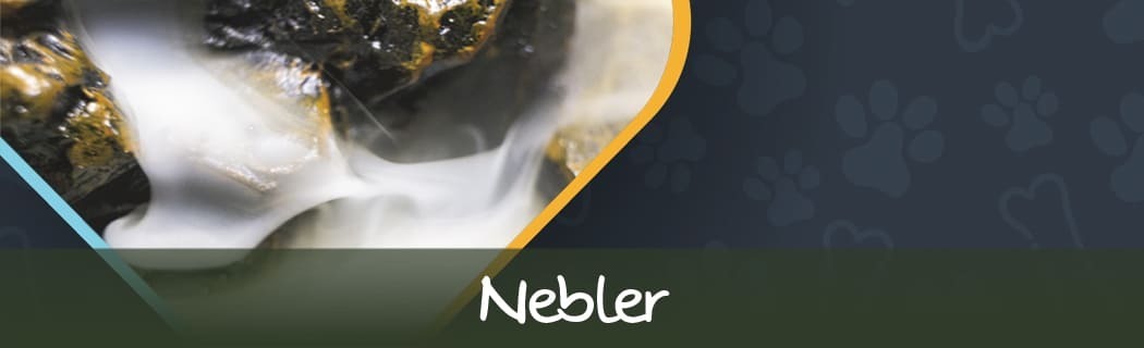 Nebler