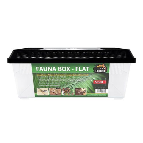 TERRA EXOTICA Fauna Box Flat