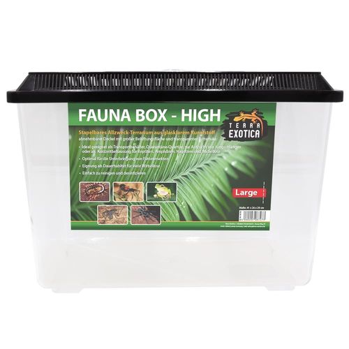 TERRA EXOTICA Fauna Box High